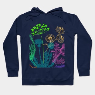 Bouquet of herbs Hoodie